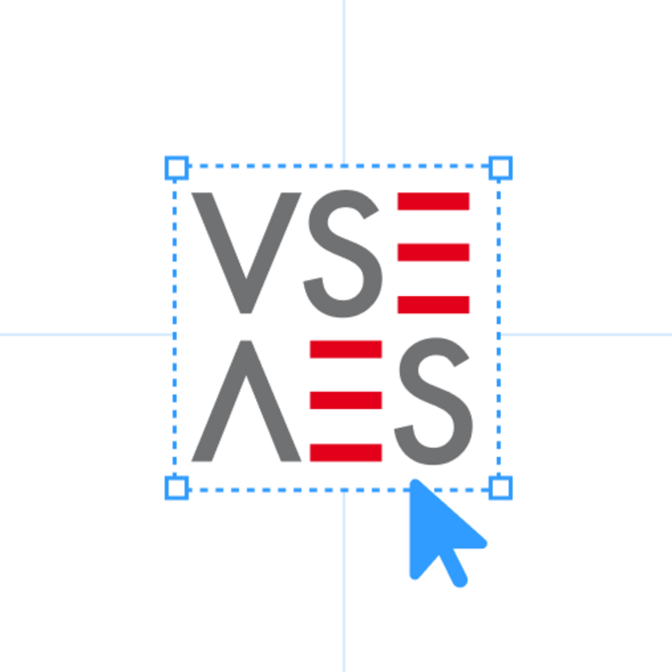 vse
