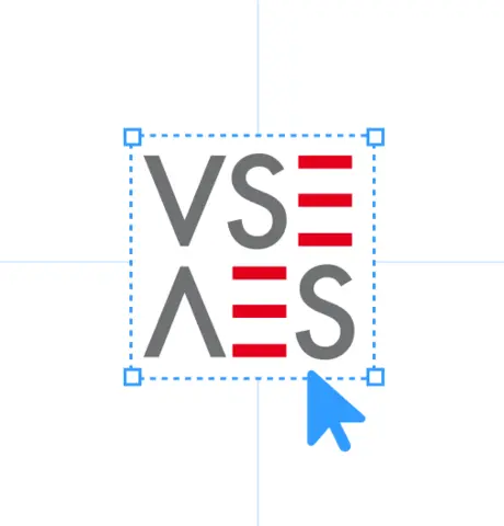 VSE Logos